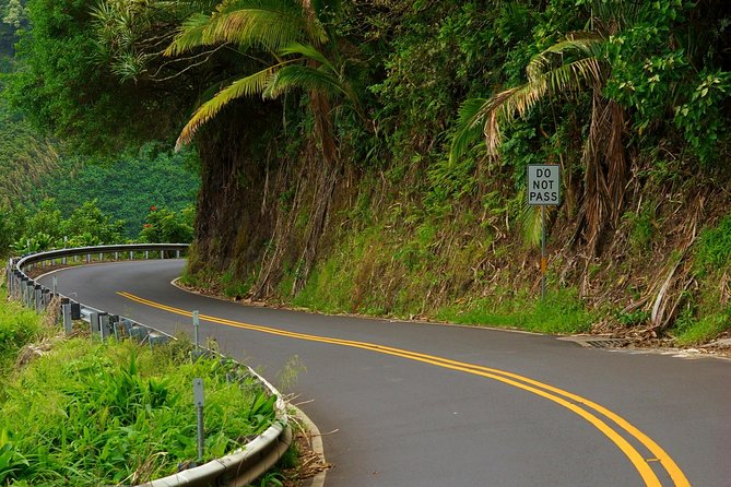 Road to Hana Adventure - Best Tour on Maui - Operator Responses and Commitment