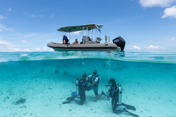Romantic Dive in the Lagoon of Bora Bora - Cancellation Policy Details