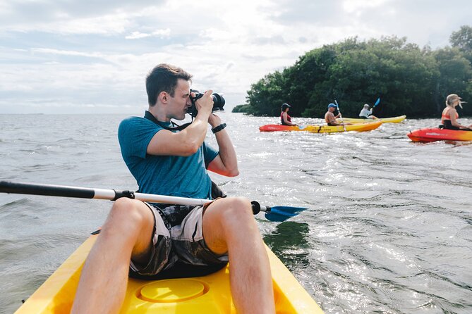 Sail, Snorkel, Kayak, Dolphins, and Lunch With Honest Eco - Wildlife Encounters