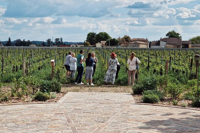 Saint Emilion Afternoon Wine Tour With Winery Visits & Tastings From Bordeaux - Meeting Information