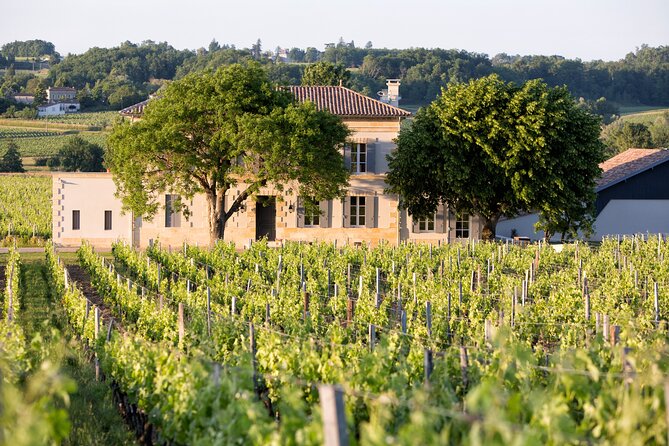 Saint Emilion Half-Day Trip With Wine Tasting & Winery Visit From Bordeaux - Logistics and Inclusions