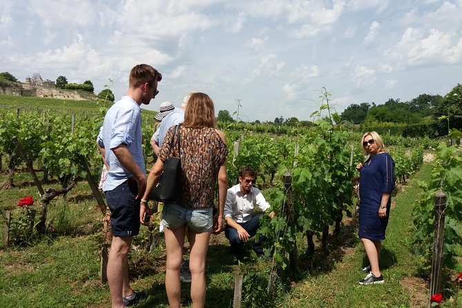 Saint Emilion Wine Tour Half Day - Booking Information and Pricing