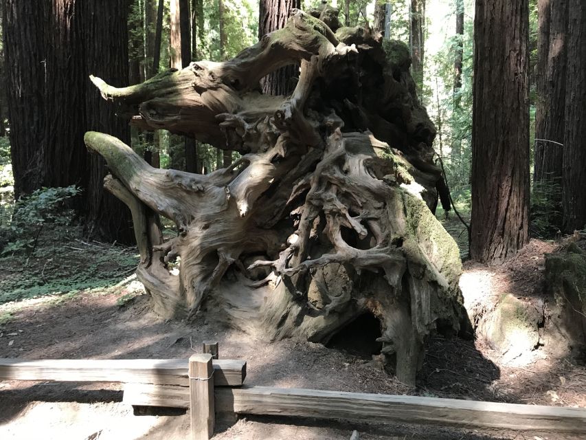 San Francisco: Private Muir Woods and Sausalito Tour - Transportation Details