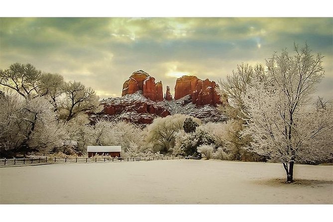 Scenic Sedona Tour - Customer Reviews and Satisfaction