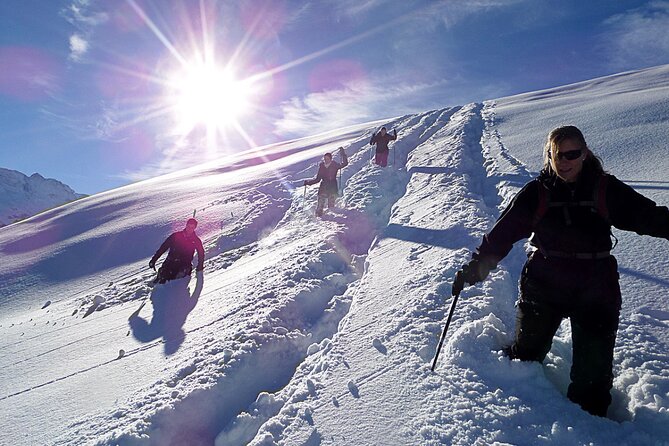 Scenic Snowshoe Adventure in South Lake Tahoe, CA - Traveler Experience