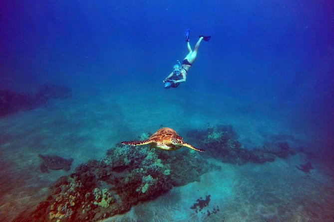 Sea Scooter Snorkeling Tour - Wailea Beach - Benefits and Customer Reviews