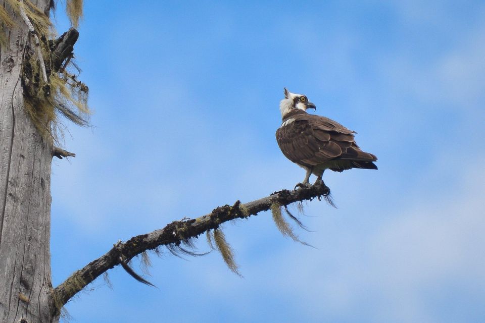 Seattle: Whidbey Island Deception Pass Winter Birding Trip - Additional Information