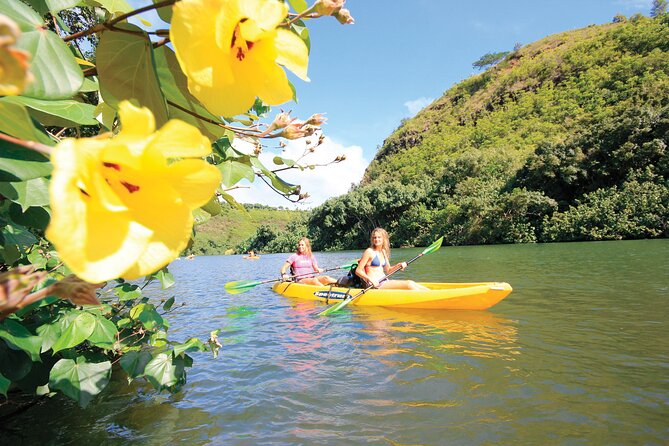 Secret Falls Kayak Hike in Kauai - Preparation Tips and Guidelines
