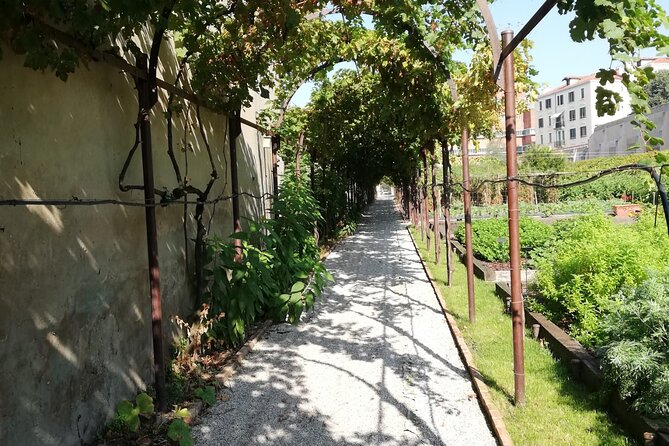 Secret Gardens of Venice Walking Tour - Cancellation Policy Details