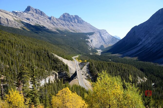 Self-Guided Audio Driving Tour in Icefields Parkway - Tour Pricing