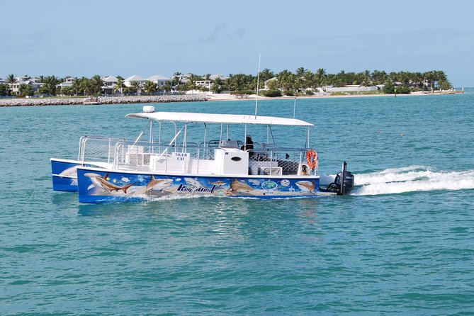 Shark and Wildlife Viewing Adventure in Key West - Educational and Conservation Value