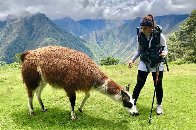 Short Inca Trail To Machu Picchu 2 Days and 1 Night - Tour Experience and Challenges