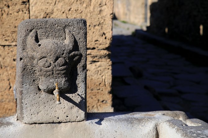 Skip-The-Line Half-Day Private Tour Ancient Pompeii Highlights With Native Guide - Common questions