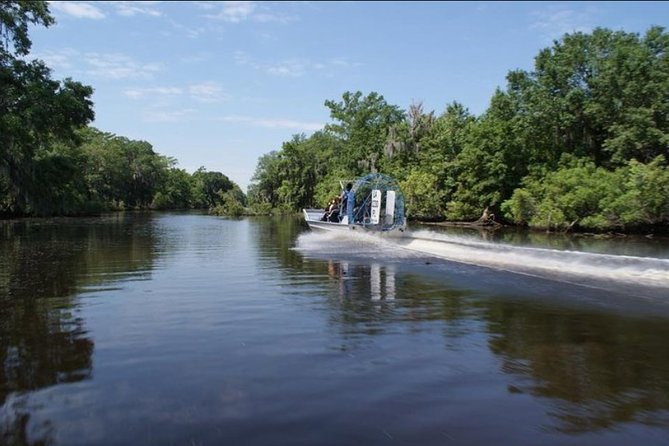 Small-Group Airboat Swamp Tour With Downtown New Orleans Pickup - Customer Reviews and Recommendations
