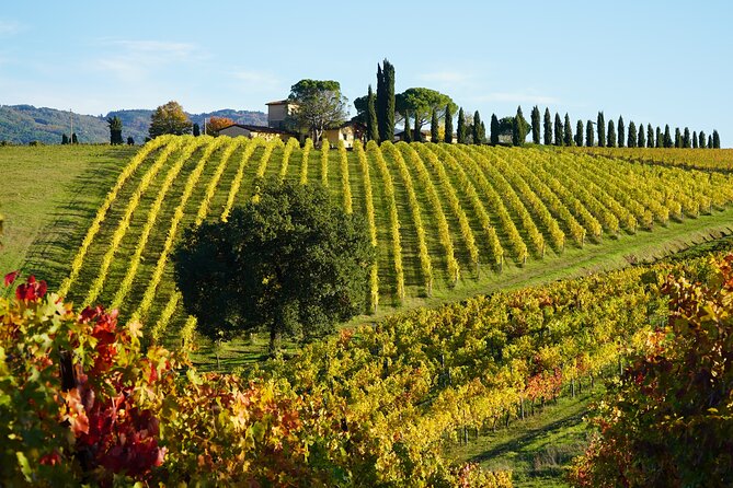 SMALL GROUP Chianti 2 Wineries & Meat Feast @ Dario Cecchini - Logistics and Meeting Point