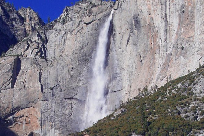 Small-Group Day Trip to Yosemite From Lake Tahoe - Viator Support and Information