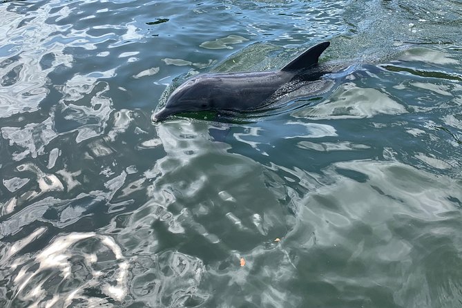 Small Group Florida Keys Eco Tour by Boat - Common questions