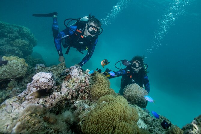 Small-Group Introductory Scuba Diving Experience in Bora Bora - Booking Information and Policies