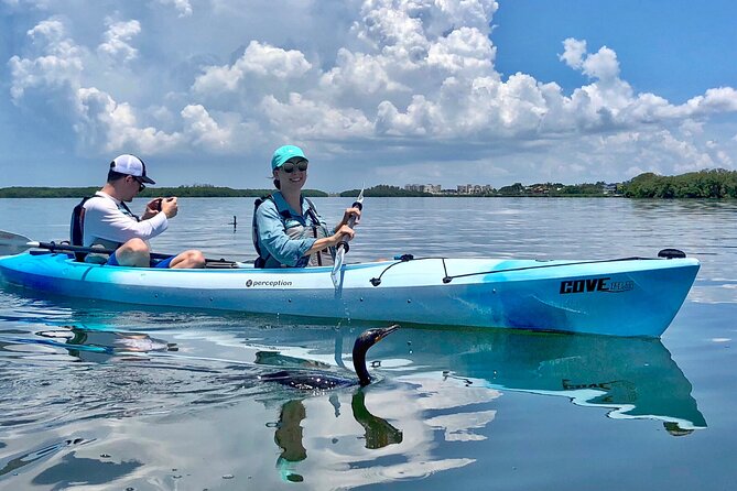 Small Group Kayak Tour of the Shell Key Preserve - Guide Appreciation