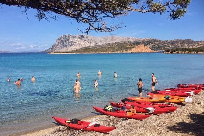 Small Group Kayak Tour With Snorkeling and Fruit - Participant Guidelines