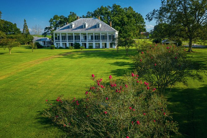 Small-Group Laura and Whitney Plantation Tour From New Orleans - Plantation Experience Insights