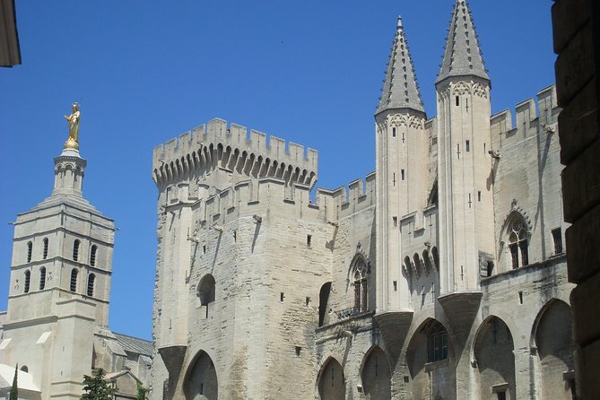 Small Group Marseille Shore Excursion : Avignon & Chateauneuf Du Pape Wine Tour - Reviews and Feedback