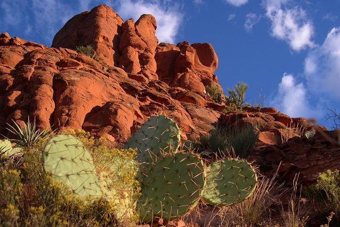 Small Group or Private Sedona and Native American Ruins Day Tour - Customer Reviews and Recommendations