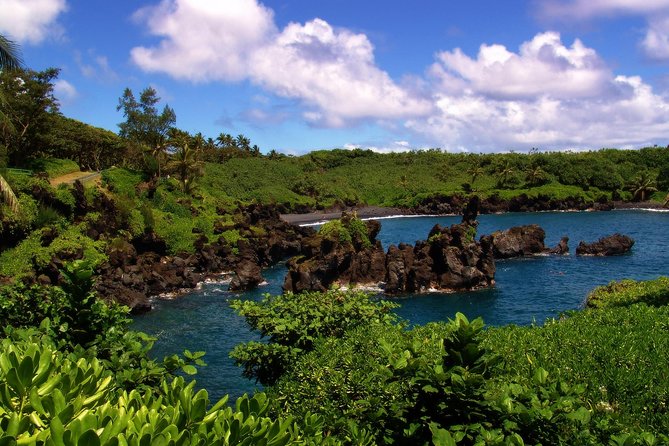 Small-Group Road to Hana Luxury Tour - Company Values and Response