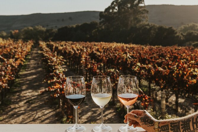 Small Group: The Ultimate Napa & Sonoma Wine Tour - Tour Experience and Features