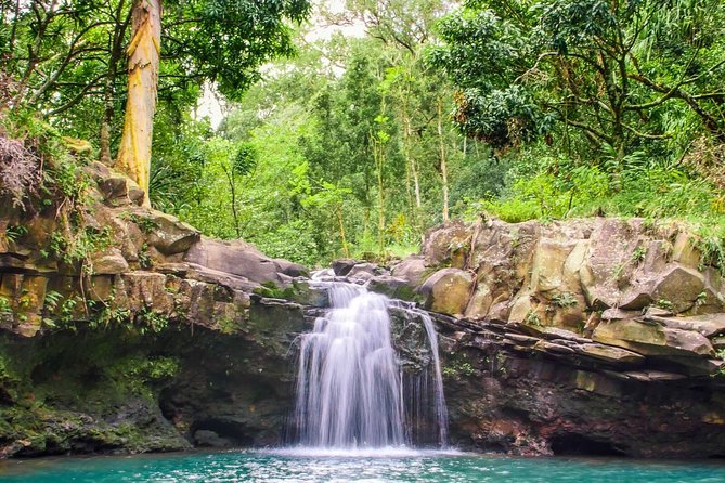 Small Group Waterfall and Rainforest Hiking Adventure on Maui - Additional Details