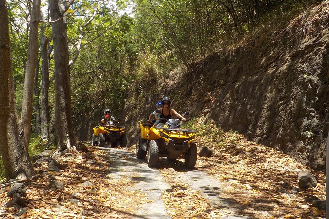 Small Quad Tour 2h30 Quad Excursion in Moorea (Single or Two-Seater) - Reviews and Ratings Overview