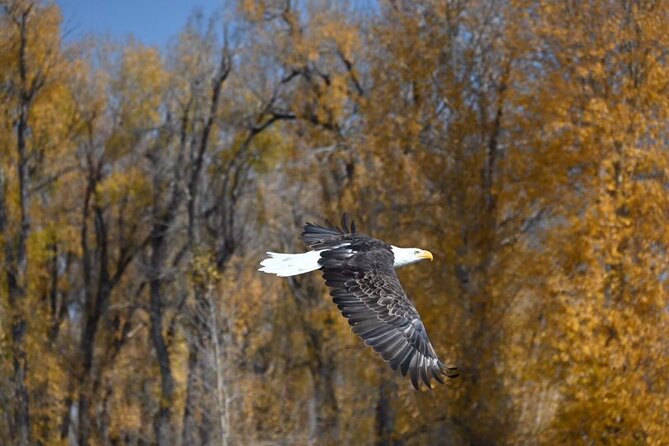 Snake River Scenic Float - Additional Information