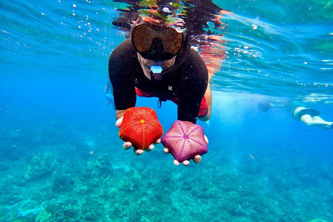 Snorkeling for Non-Swimmers at Wailea Beach - Experience Highlights and Value