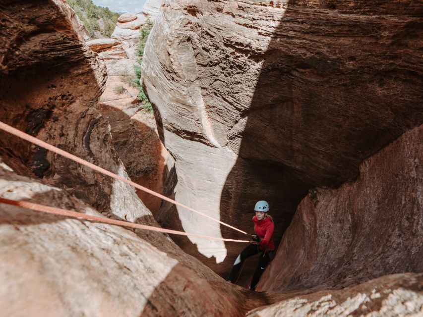 Springdale: Half-Day Canyoneering and Climbing Adventure - Tour Inclusions