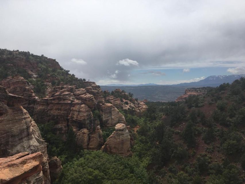 Springdale: Half-Day Canyoneering Experience - Full Description