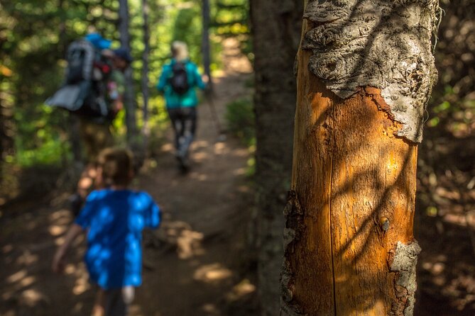 Survival Hike - Navigation Techniques in the Wild