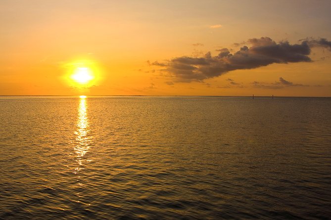 Tahiti Sunset Cruise on the Island of Moorea (1h30) - Included Amenities