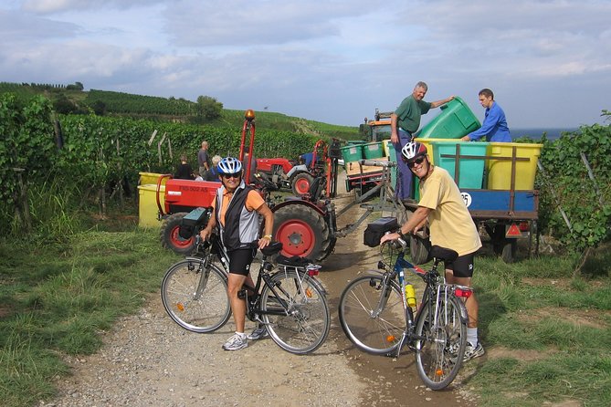 Through Alsace Vineyards and Wine Villages Private Bike Tour - Cancellation Policy