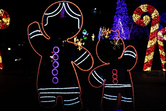 Toronto: Niagara Falls Festival of Lights All Inclusive Tour - Reviews and Testimonials