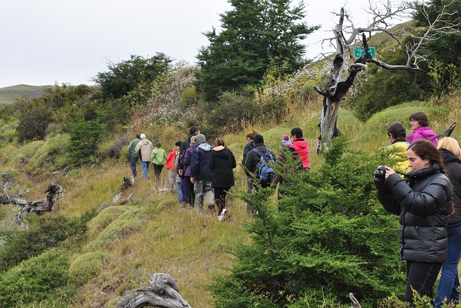 Torres Del Paine Full Day Overland Truck 4x4 From El Calafate - Directions