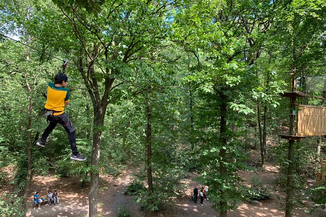 Tree Top Adventure in Forest of Meudon - Ascend to the Tree Canopy