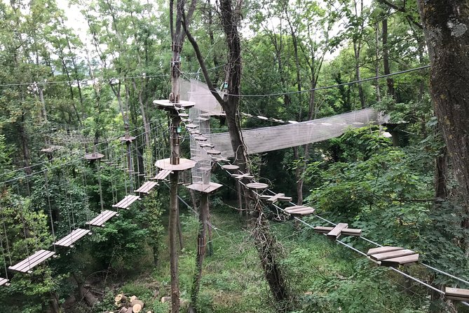 Tree Top Adventure in Rueil-Malmaison - Contact and Pricing