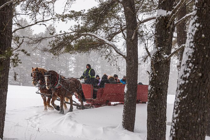 Tremblant Sleighride - Additional Booking Details