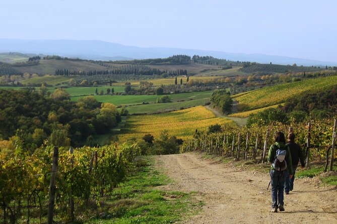Tuscany Hiking Tour From Siena Including Wine Tasting - Reviews and Recommendations
