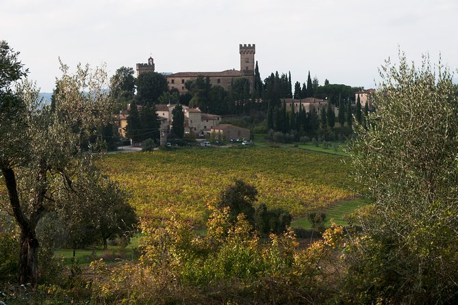 Tuscany Vespa Tours Through the Hills of Chianti - Meet the Knowledgeable Guides