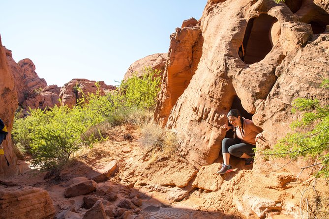 Valley of Fire Hiking Tour From Las Vegas - Customer Experiences