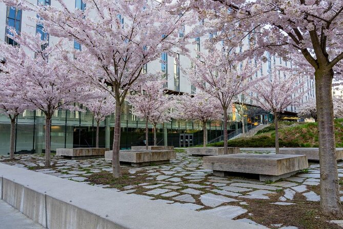 Vancouver Beaches Self Guided Driving Audio Tour - Cancellation Policy and Refund Details