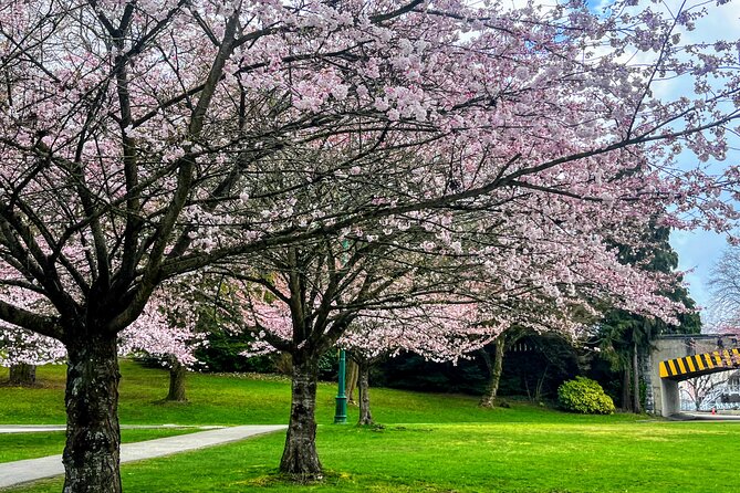 Vancouver City Tour With Cherry Blossom Festival Private - Booking and Reservation Process