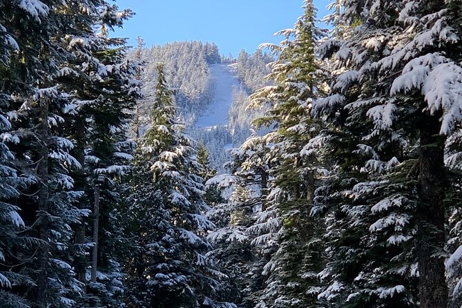 Vancouver: North Shore Mountains Small-Group Snowshoeing Tour - Customer Reviews