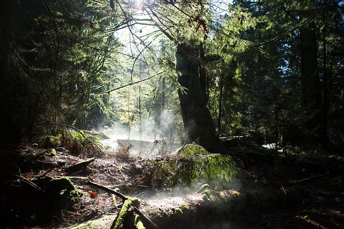 Vancouver Secrets of Stanley Park Walking Tour - Unveiling Secret Cemeteries